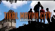 Tikal in Guatemala Tour from Belize City or San Ignacio