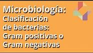 Clasificación de bacterias: Gram positivas o Gram negativas - Microbiología - Educatina