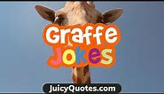 Funny Giraffe Jokes and Puns - Will Have You Smiling In No Time