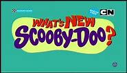 What's New, Scooby-Doo | Hindi Theme Song | Cartoon Network India