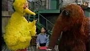 Sesame Street - Carrie's Birthday Party