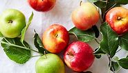 Your Guide to 15 of the Most Delicious Apple Varieties Available