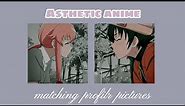 Asthetic anime matching pfp |anime profile|