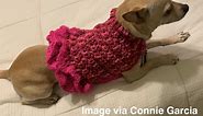 Small Dog Sweater Free Crochet Pattern | Itchin' for some Stitchin'