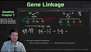 Introduction to Gene Linkage, Recombination, and Genetic Mapping | Genetics Ep. 23