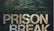 Prison Break Season 5 - watch full episodes streaming online