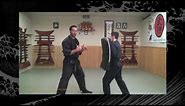 Taijutsu: Bujinkan/Ninjutsu Lesson - Ninja Training Video Blog