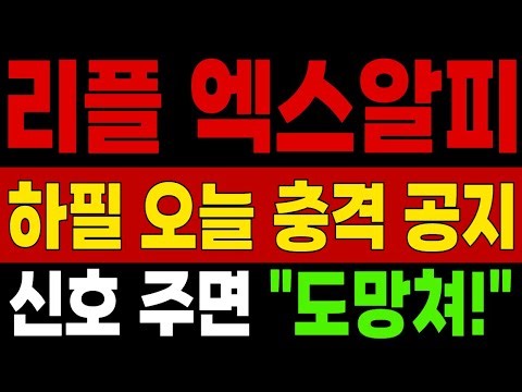 리플 엑스알피 코인전망 하필 오늘 충격 공지 신호 나오면 "도망쳐!"