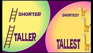 Taller And Shorter & Tallest And Shortest | Comparison for Kids | Roving Genius