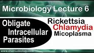 Microbiology lecture 6 | Obligate intracellular parasites | Rickettsia, Chlamydia bacteria
