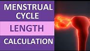 Menstrual Cycle Calendar Calculation Explained | Period Cycle Length Counting