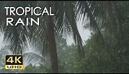 4K Tropical Rain Sounds & Relaxing Nature Video - Sleep/ Relax/ Study/ Meditate - Ultra HD