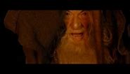 "You shall not pass!" - Gandalf