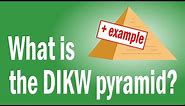 What is the DIKW Pyramid? 🐫 + Example