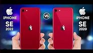 Apple iPhone SE 2 vs iPhone SE 3 : Which Is the Better Buy? #apple #ios #applemobile #trending