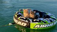 Florida Cats Cruise on Inflatable Raft
