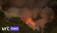 Natuurbrand op Spaanse eiland Tenerife: vijf dorpen preventief geëvacueerd