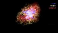 Crab Nebula: The Multiwavelength Structure of a Pulsar Wind Nebula