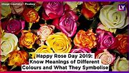 Happy Rose Day 2019: Meanings of Different Colours of Roses to Wish on the 1st Day of Valentine Week