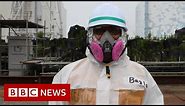 Fukushima: The nuclear disaster that shook the world - BBC News