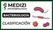 Microbiología - Bacteriología - Clasificación Bacteriana