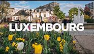 The ULTIMATE Travel Guide: Luxembourg