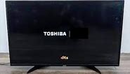 Fix Toshiba Fire TV Getting Stuck on Startup Logo Loading Screen (DTS Smart Edition Troubleshoot)