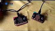 Communicate two micro:bit cards by radio