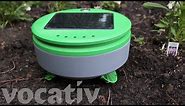 This Robot Is A Roomba For Your Weeds