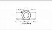 How a Film SLR Camera Works by ILFORD Photo