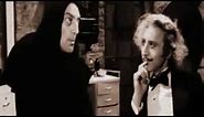 Mel Brooks' Young Frankenstein - "Whose Brain I did put in?"