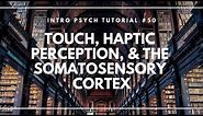 Touch, Haptic Perception, & the Somatosensory Cortex (Intro Psych Tutorial #50)