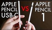 Apple Pencil (USB-C) Vs Apple Pencil 1! (Comparison) (Review)