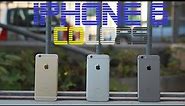 iPhone 6 Color Comparison (Also iPhone 6+) (Gold, Silver, Space Gray)