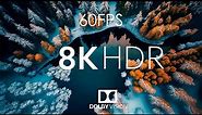 8K HDR 60fps Dolby Vision with Relaxing Piano (Forest Snow)