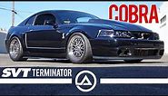 Nasty 750 Horsepower Terminator Cobra Whipple Supercharged | 2003 SVT Shelby Mustang