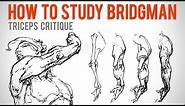 How to Study Bridgman - Student Anatomy Critique