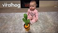 Baby Has in Depth Conversation With Talking Cactus Toy || ViralHog
