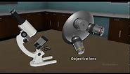 How a compound microscope works? / 3D animated