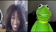 Kermie's back looking for baddies on Omegle