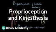 Proprioception and kinesthesia | Processing the Environment | MCAT | Khan Academy