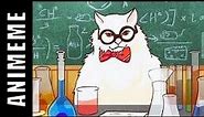 Chemistry Cat Meme