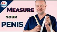 How to measure penile size practical guide | UroChannel