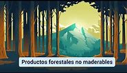 Productos forestales no maderables