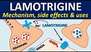 Lamotrigine - Mechanism, side effects, drug interactions & uses