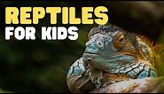 Reptiles for Kids | What is a reptile? Learn all about reptiles and their characteristics