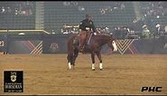 CASEY DEARY DOWN RIGHT AMAZING TAPH REINING CHAMPION 231.5