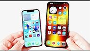 iPhone 13 Mini vs iPhone 13 Pro Max - Which is Better?