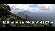 Hiking Mount Muhabura/Muhavura (4127m) | Uganda | 27