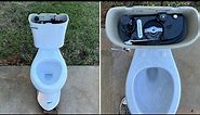 Glacier Bay PowerFlush Toilet Bucket Flush Tests!